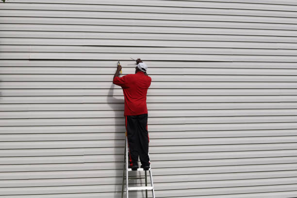 Best Siding Painting and Refinishing  in Pquemine, LA